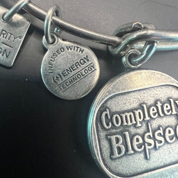 Alex and Ani Silver‎ Bangle Bracelet Completely Blessed Energy Charms Adjustable - Picture 3 of 10